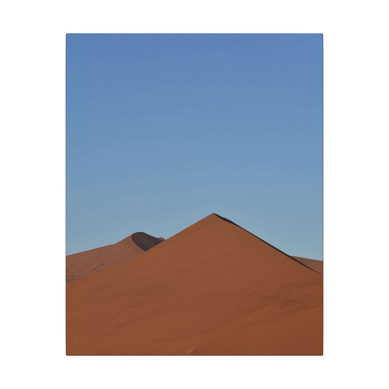 African Summer canvas